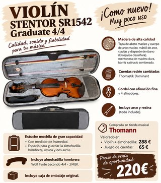 Violín Stentor Graduate 4/4 SR1542