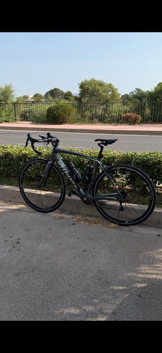 Specialized Roubaix SL4 Carbono