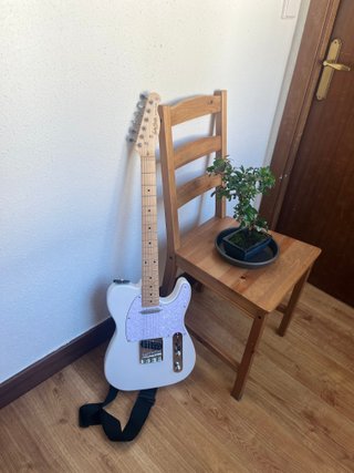Guitarra Eléctrica Telecaster Harley Benton TE-30
