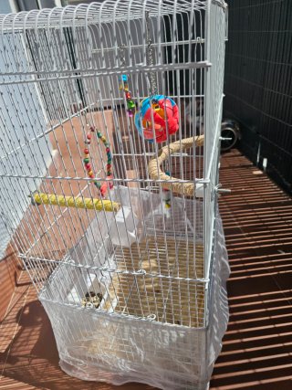 Jaula grande para pájaros