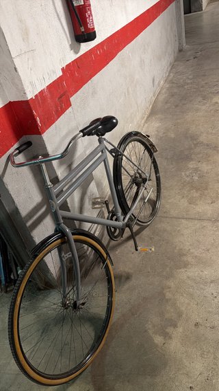 Bicicleta Paseo Holandesa Gris