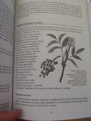 Libro Plantas medicinales y curativas