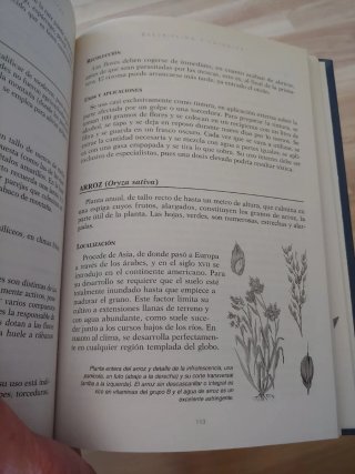 Libro Plantas medicinales y curativas