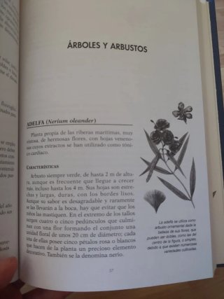Libro Plantas medicinales y curativas
