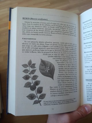 Libro Plantas medicinales y curativas