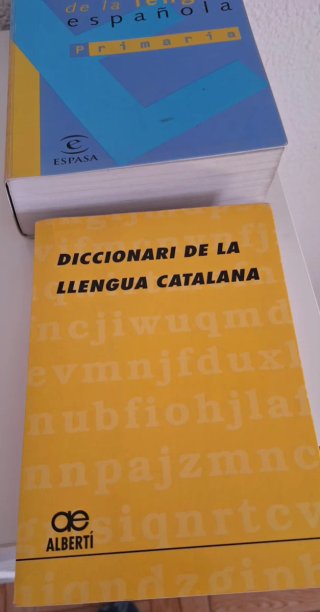 Diccionarios en buen estado, lengua española y cat