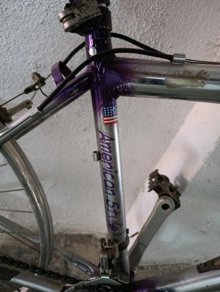 Bicicleta