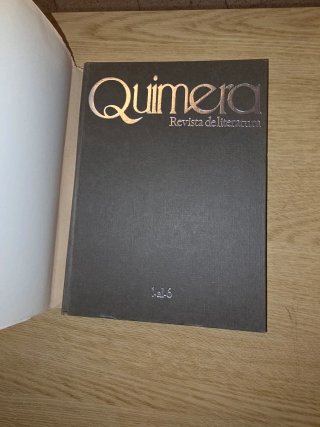 Lote de 68 revistas de literatura Quimera ​