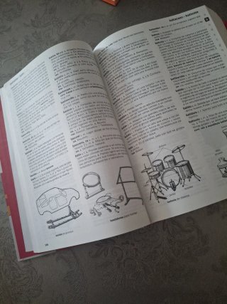 DICCIONARIO ESCOLAR DE LA LENGUA ESPAÑOLA...