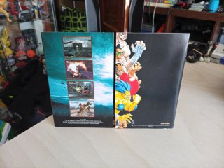 Hyper Street Fighter II PS2 Edición Aniversario