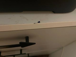 Cama alta tipo litera con escaleras y escritorio.