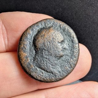 Moneda romana Tito 79-81 d.C. Roma