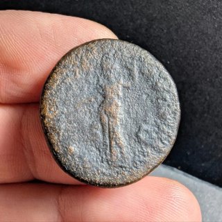 Moneda romana Tito 79-81 d.C. Roma