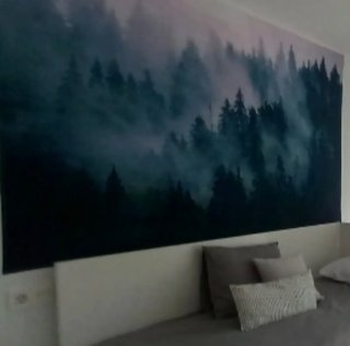 Tela decorativa paisaje bosque niebla
