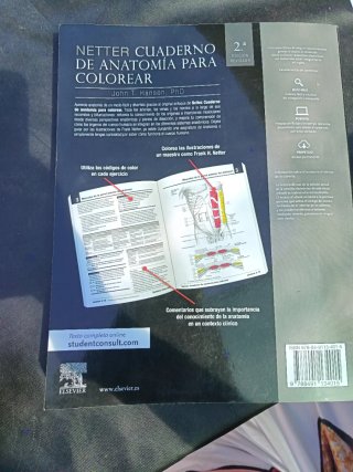 Netter cuaderno de anatomía para colorear