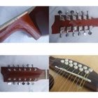 Chitarra Acustica 12 Corde F66012/N + Custodia