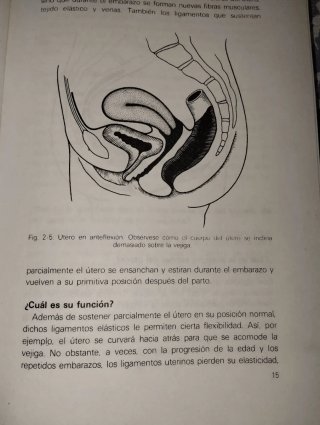 De mujer a mujer - Salud Femenina