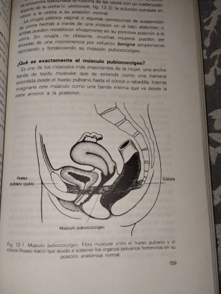 De mujer a mujer - Salud Femenina