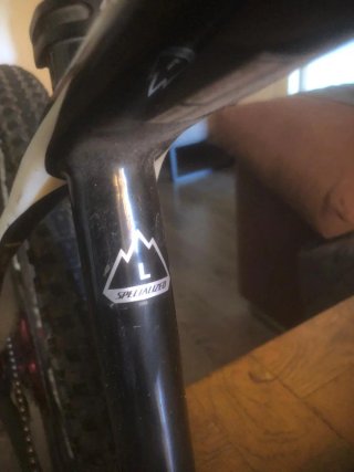 Bicicleta Specialized Stumpjumper Talla L