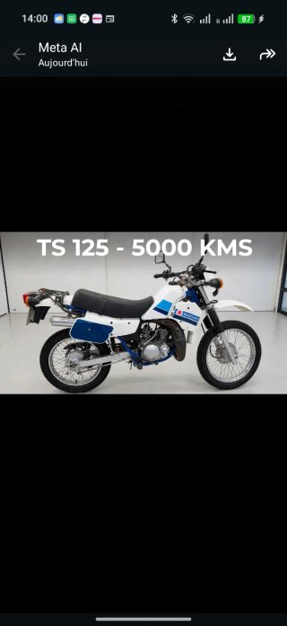 Suzuki DR Enduro Blanca y Azul