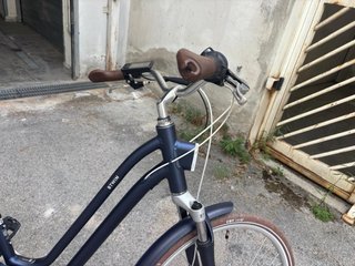 Bici elettrica pedalata assistita
