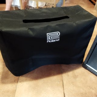 Amplificador Roland Jazz Chorus 40