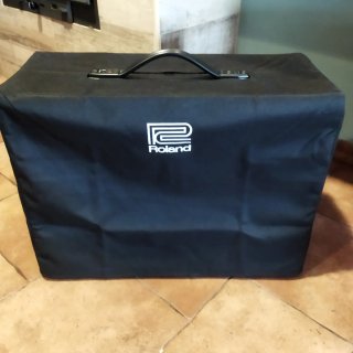 Amplificador Roland Jazz Chorus 40