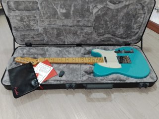 Fender American Professional II  Telecaster.