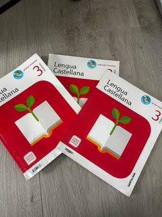 Lengua castellana 3 Primaria