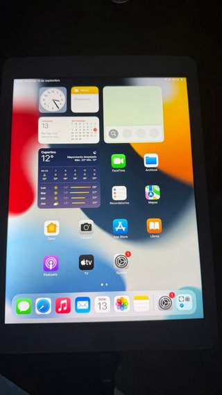 iPad Air 2