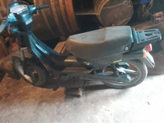 Derbi Variant