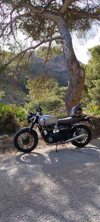 Asiento Motone Camel Triumph Street Twin