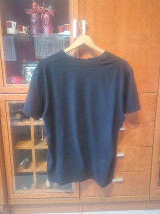 Camiseta Living Colour