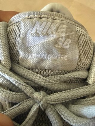 Nike SB zapatillas