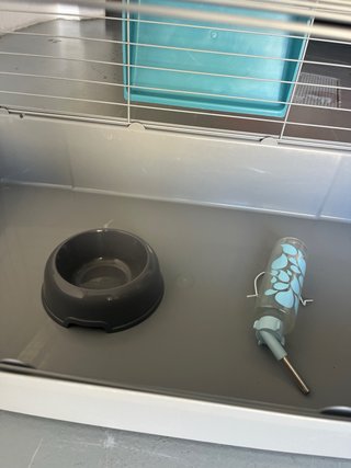 Jaula para conejo azul y gris