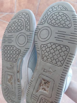 Zapatillas Puma niño gris y blanco