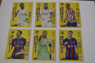 Carte da calcio Panini, Palloni d'Oro