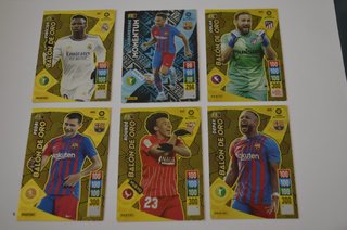 Carte da calcio Panini, Palloni d'Oro