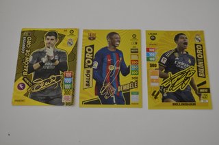 Carte da calcio Panini, Palloni d'Oro
