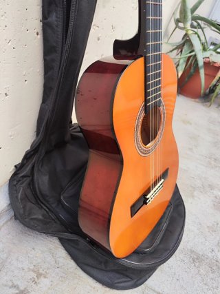Guitarra Acústica Valencia VC103
