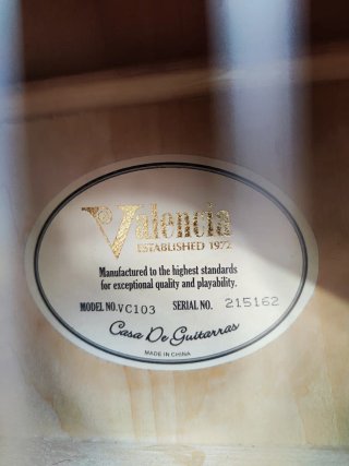 Guitarra Acústica Valencia VC103