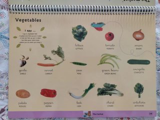 Words and pictures. Libro inglés. Infantil