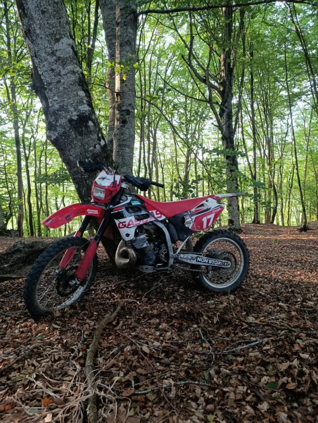 Gas Gas EC 250 Enduro/Motocross
