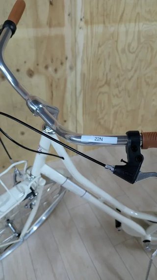 Bicicleta Alpina Olanda Mujer 26