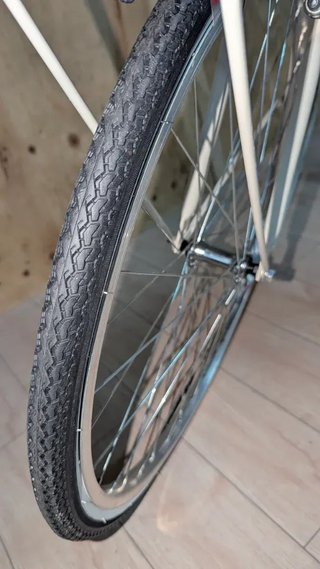 Bicicleta Alpina Olanda Mujer 26