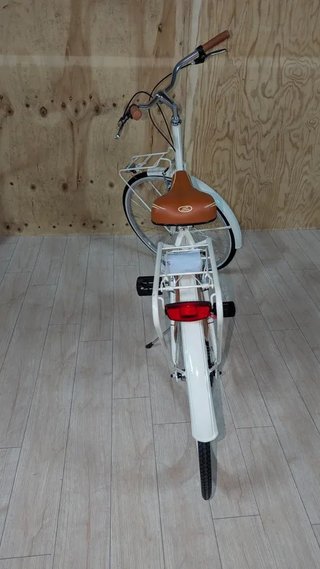 Bicicleta Alpina Olanda Mujer 26