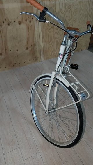 Bicicleta Alpina Olanda Mujer 26