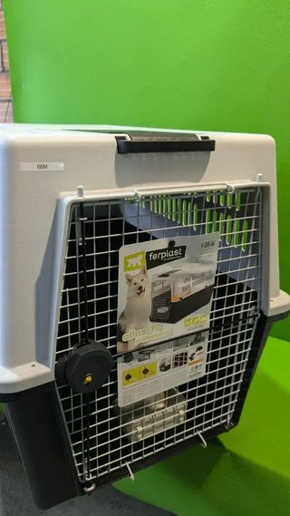 Transportín para Perros Grande