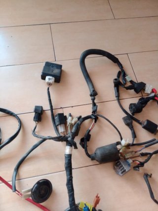 Cableado Yamaha TZR 50 Completo
