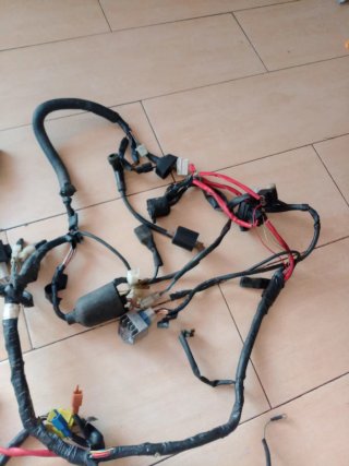 Cableado Yamaha TZR 50 Completo